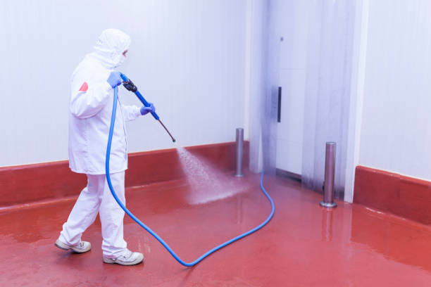 Spring Cleaning in Manton, MI
