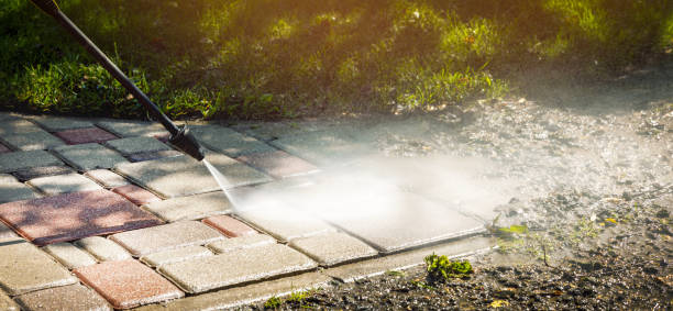 Best Roof Washing  in Manton, MI